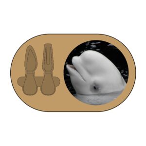 Beluga Whale Charcuterie Board (Engraving)