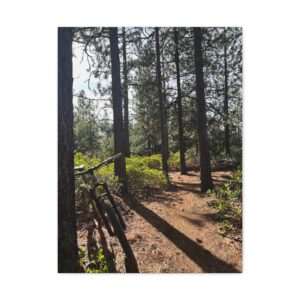 Mountain Bike Trail Stretched Canvas