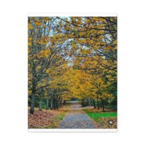 Fall Colors Stretched Canvas