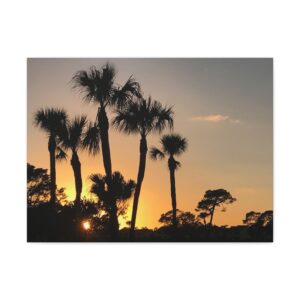 Palm tree sunset Stretched Canvas