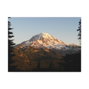 Mount Rainier, WA Stretched Canvas