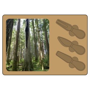 Deep woods Charcuterie Board (Engraving)